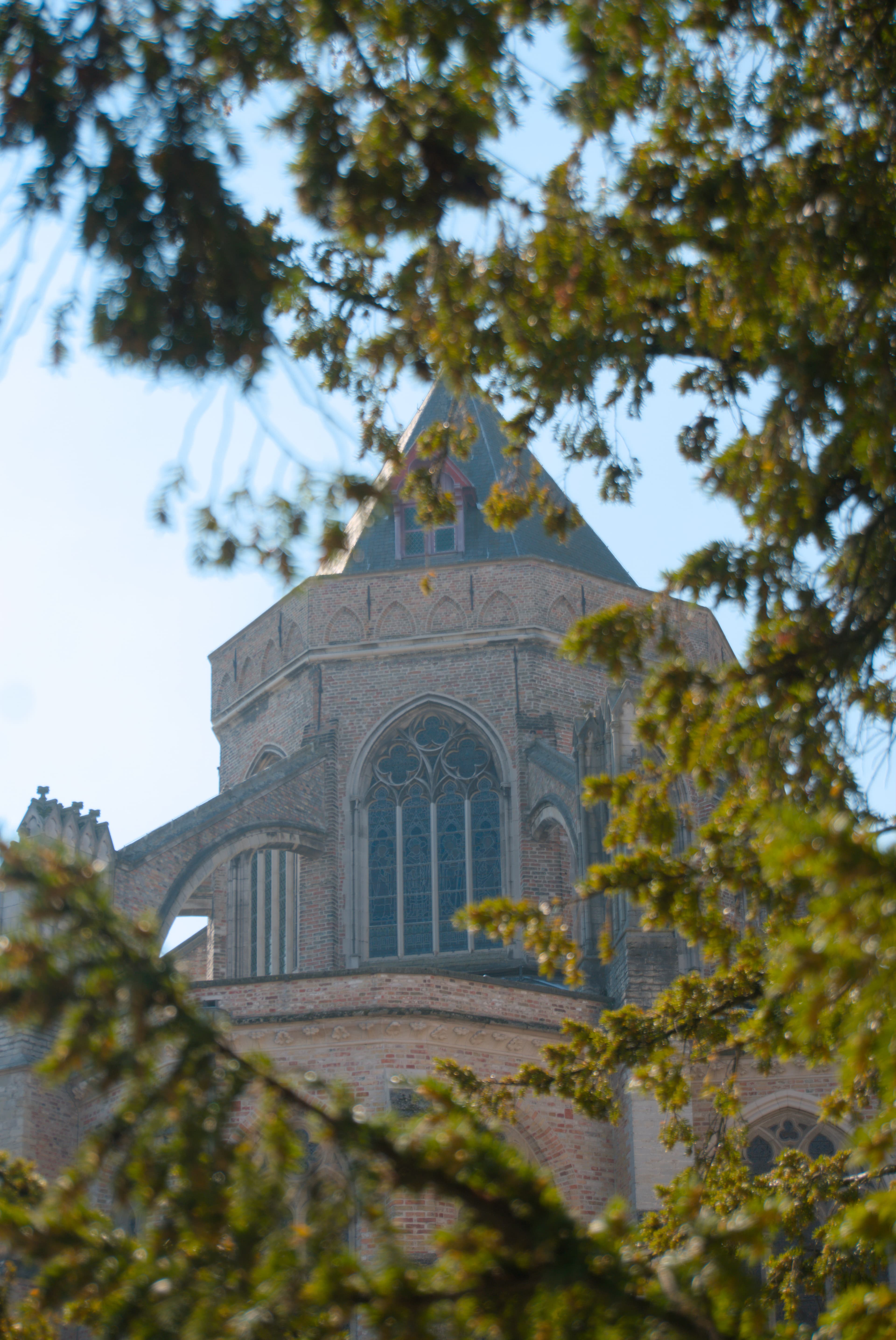 1774283665447-DSC00118.jpg